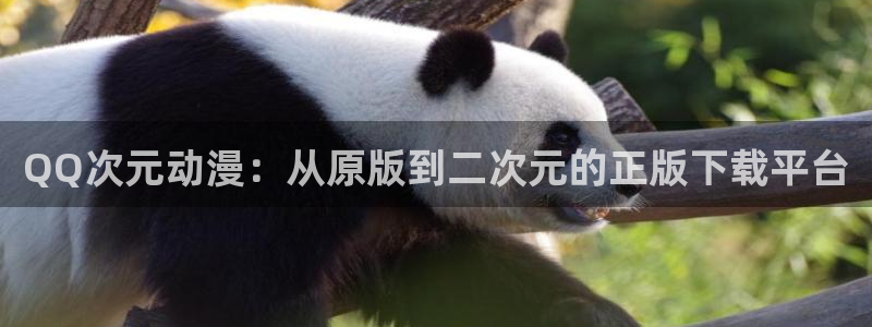 age专注动漫的门户网站