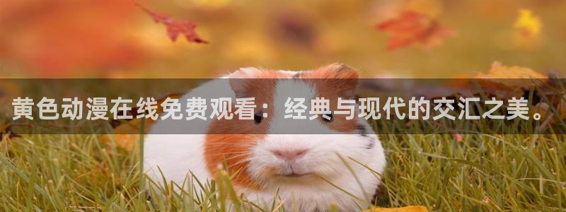 age动漫官网网址