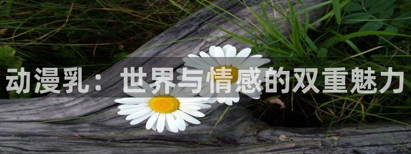 age动漫