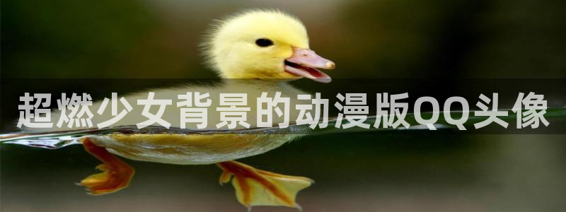 age动漫网官网入口