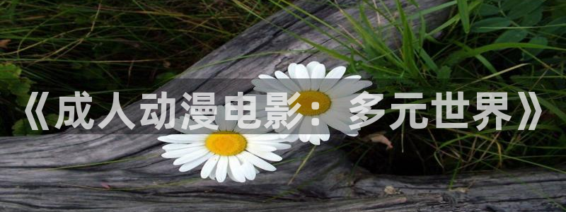 age专注动漫的门户网站