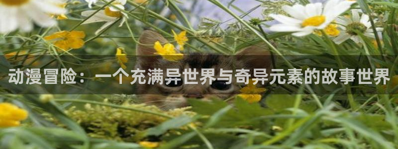 age动漫下载：动漫冒险：一个充满异世界与奇异元素的故事世界