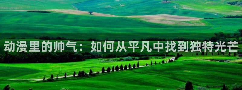 age动漫下载网：动漫里的帅气：如何从平凡中找到独特光芒
