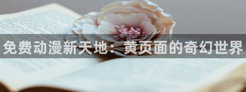 age动漫官网入口老版本
