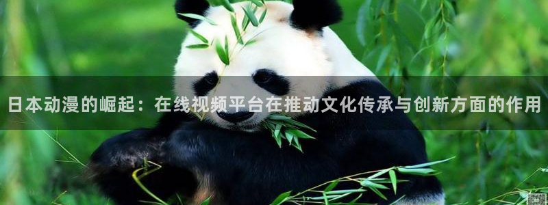 age动漫下载入口：日本动漫的崛起：在线视频平台在推动文化传承与创新方面的作用