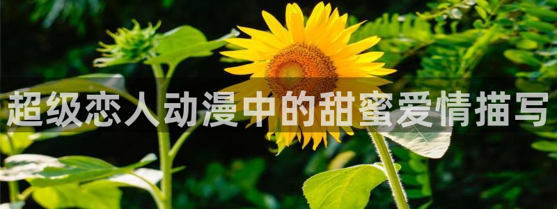 在线动画动漫下载age动漫：超级恋人动漫中的甜蜜爱情描写