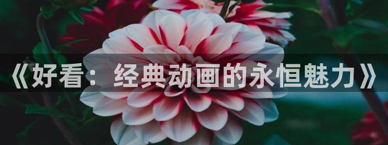 age动漫官网网址：《好看：经典动画的永恒魅力》