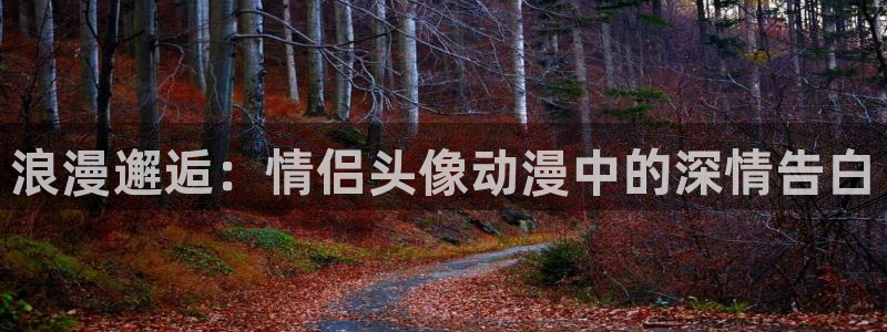 colomanage漫画官网：浪漫邂逅：情侣头像动漫中的深情告白