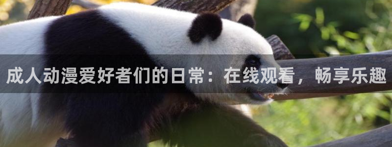 age动漫网上看