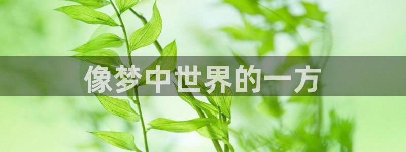 age漫画网