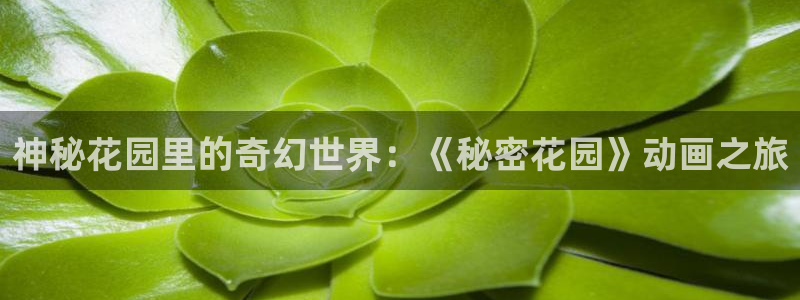 age动漫下载网：神秘花园里的奇幻世界：《秘密花园》动画之旅