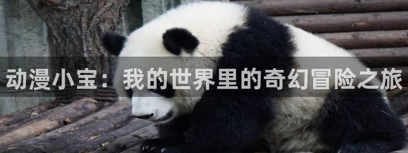 age动漫樱花：动漫小宝：我的世界里的奇幻冒险之旅