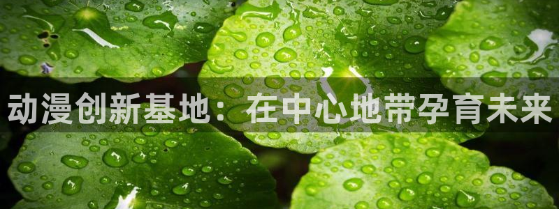 age动漫网上看：动漫创新基地：在中心地带孕育未来