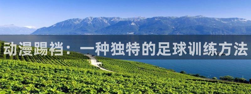 age动漫樱花：动漫踢裆：一种独特的足球训练方法