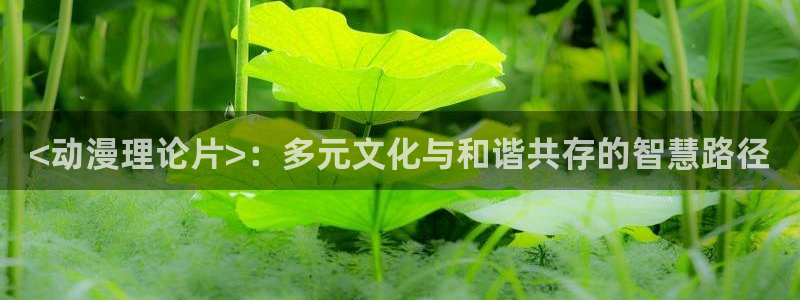 age动漫网下载：<动漫理论片>：多元文化与和谐共存的智慧路径